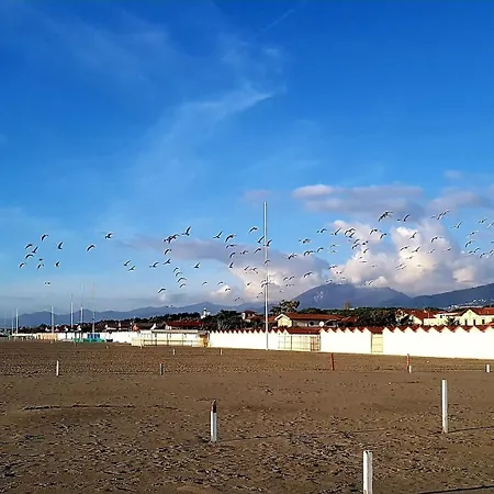 Charme E Relax A Dei Marmi Al Mare E Centro