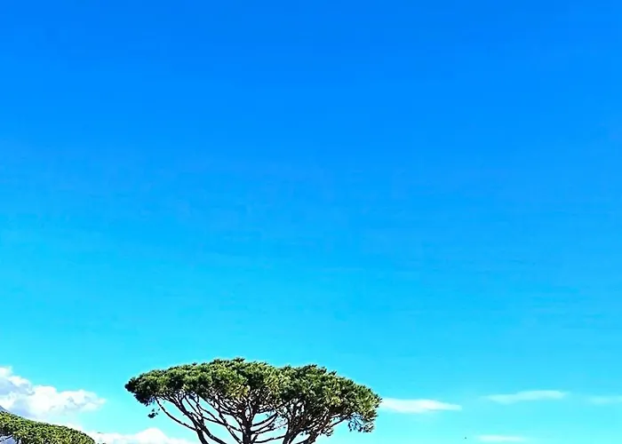 Design&charme A - Eleganza Tra Mare E Centro * فورتي دي مارمي